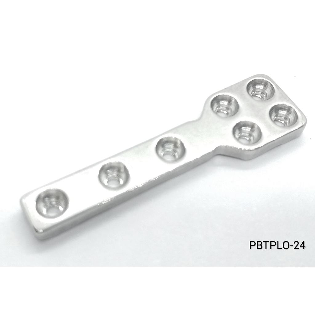 PBCTWO-24