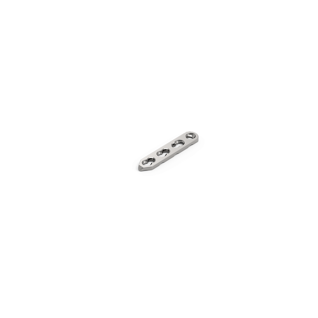 LP20-004