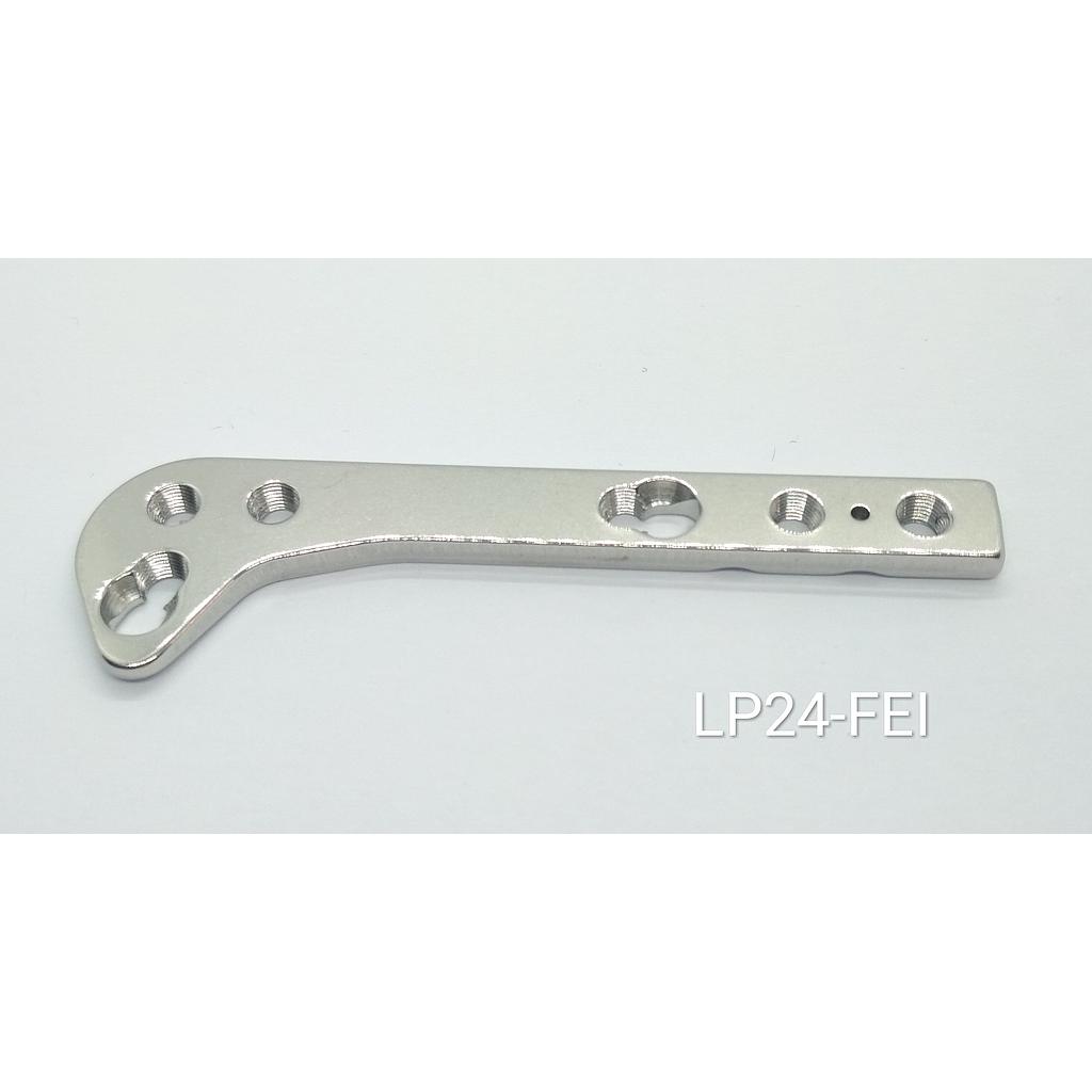 LP24-FEI