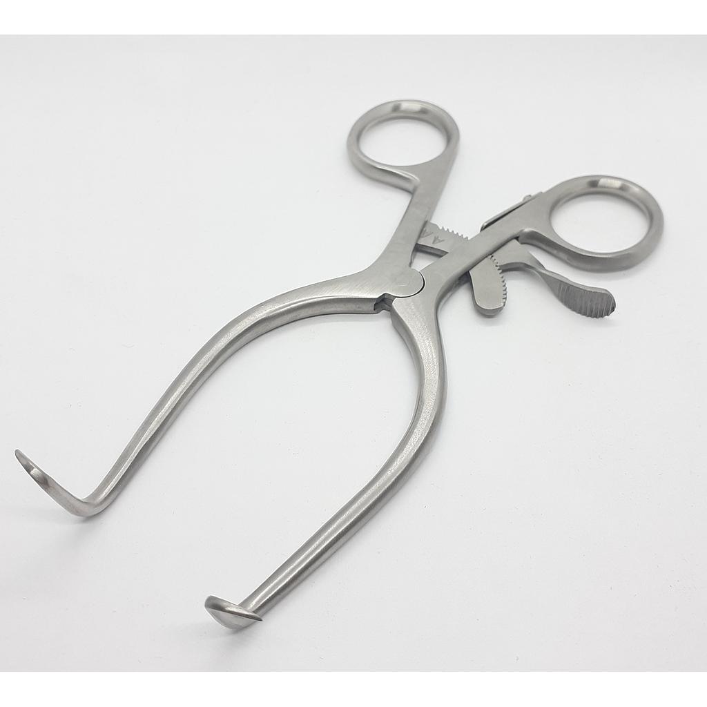 GI-090 (copia)